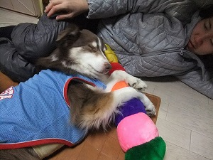 おめでとうございます！！
