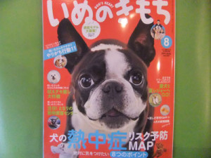 いぬのきもち８月号