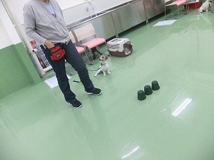 しっかり待てるかな