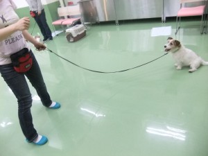 どこまで待てるかな？
