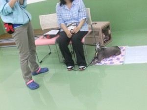 足元でフセ
