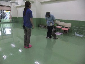 こんにちは