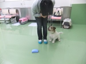 おもちゃじゃないよ