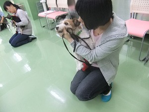 健康チェック