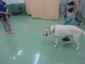 すごいね！