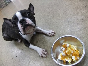 食事の場所は落ち着くところで