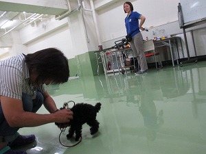 貴重な期間