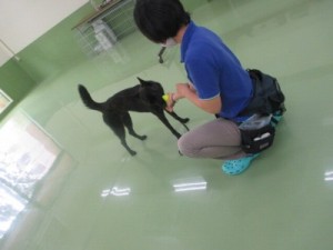 「ちょうだい」