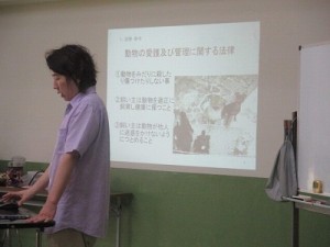 愛犬の法律