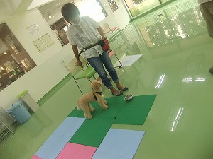 勝手に食べませんよ・・？