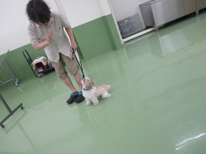 ちゃんと待ってね
