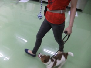 隣で歩いて