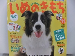 いぬのきもち１１月号 