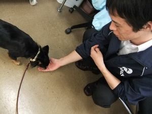 ちょうだい^ ^