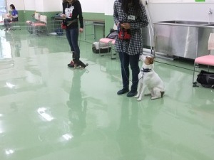 指示が聞けると・・