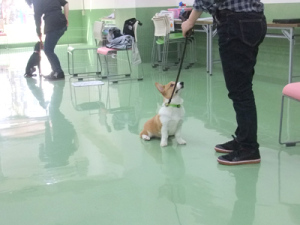 アイコンタクト。