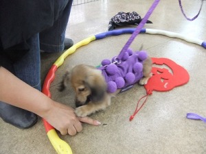 何が好きで、何が嫌い？