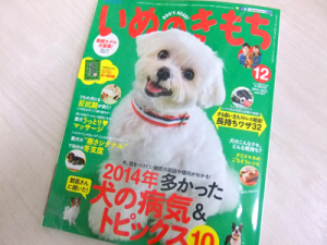 いぬのきもち１２月号