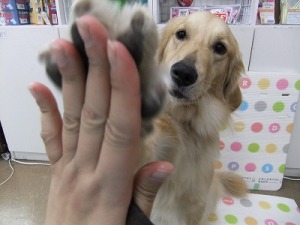 清潔に保つ