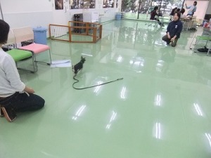呼ばれたら…