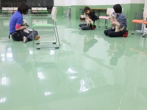 アタッチメント・・