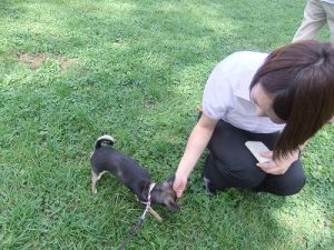 愛犬との時間