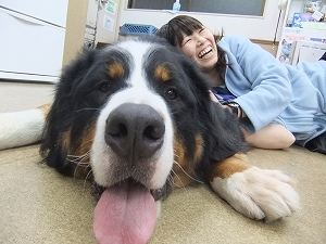子犬と人間の赤ちゃん、何が違うの？
