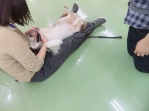 アタッチメント