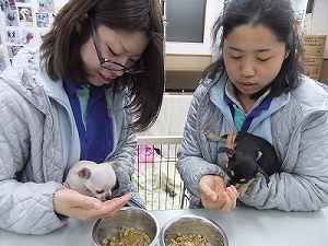 食餌管理