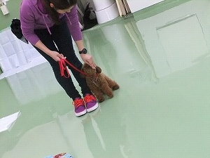 おやつの誘導