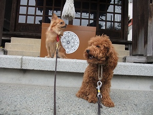 言葉を知りません