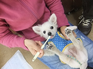小さいうちに