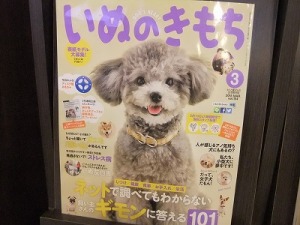 いぬのきもち３月号