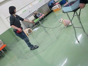 遠隔操作。