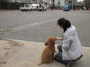ごほうびは必要？