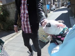 人が大好きな犬に…