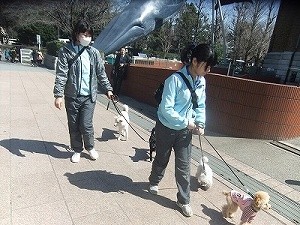 マナーを守ろう
