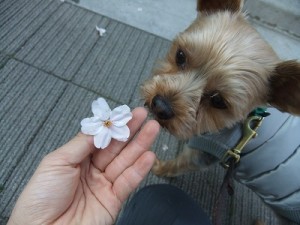 長生きのための7か条