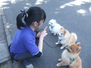 しつけは早いうちから