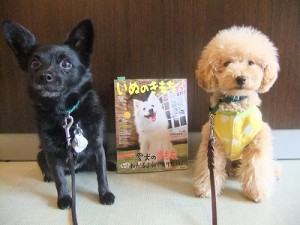 いぬのきもち５月号