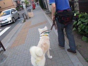 苦手なもの