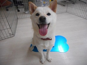 暑さ寒さ対策