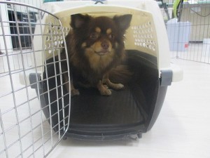 災害の時は…