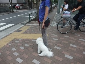 お外でできないのはなぜ？