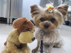 小さくても大きな命