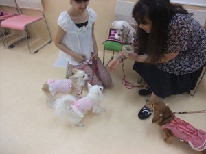 うちの子自慢大会