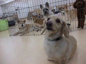 ８月２３日　お友達と遊ぶこと