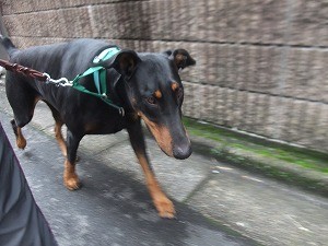 横について歩きましょう