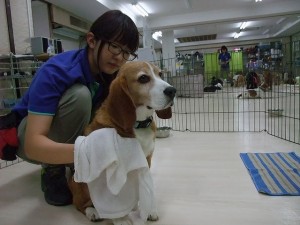 小さいうちに