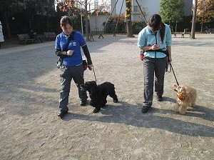 横について歩きましょう